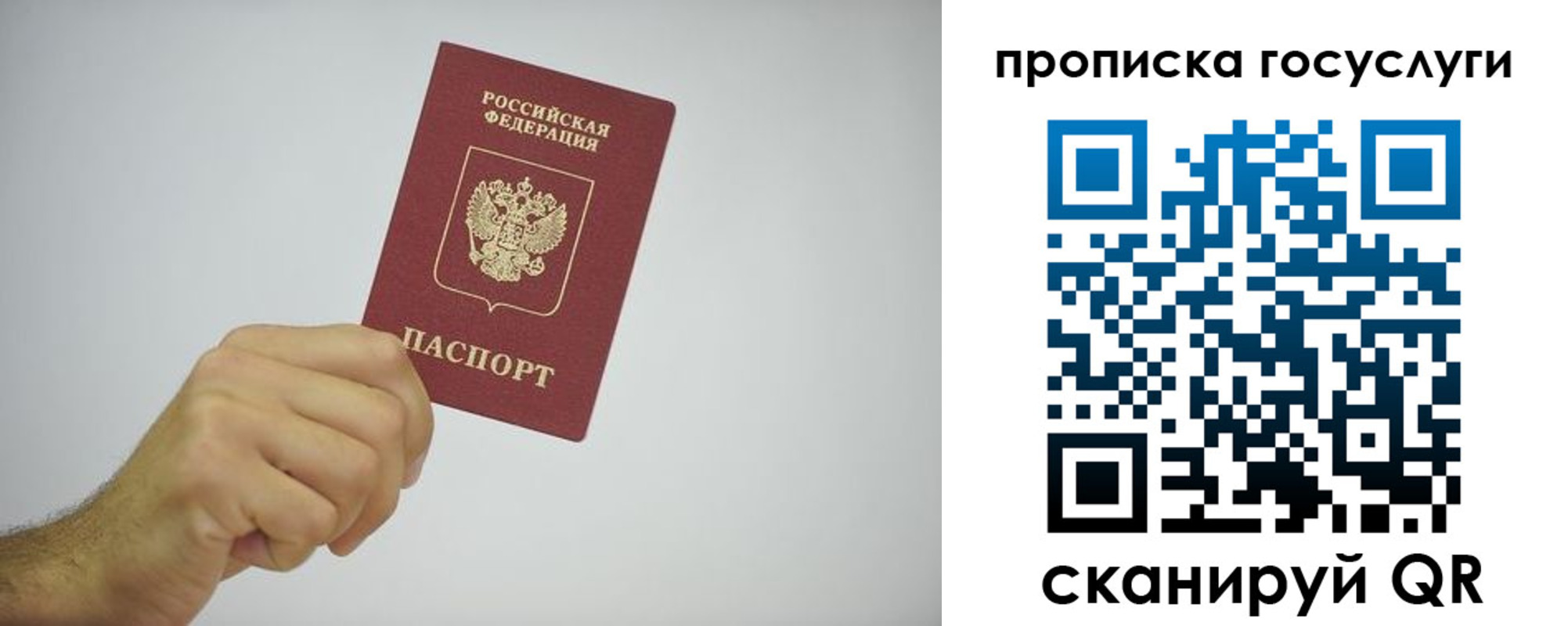 прописка законно в Бийске